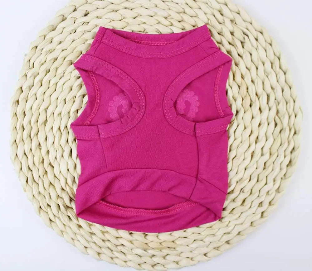 Princess Crown Vest for Small Dogs
