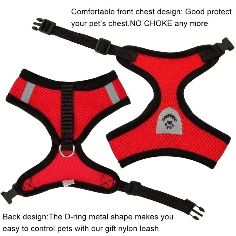 Mesh Cat Harness and Lead Set
