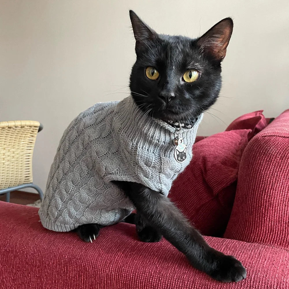 Cable-Knit Jumper for Sphynx and Small Cats