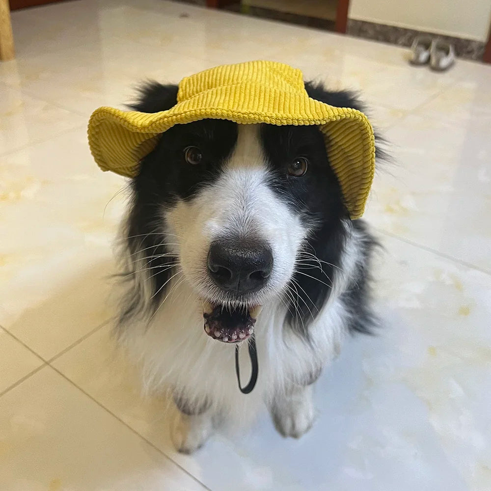 Dog Sun Hat with Chin Strap