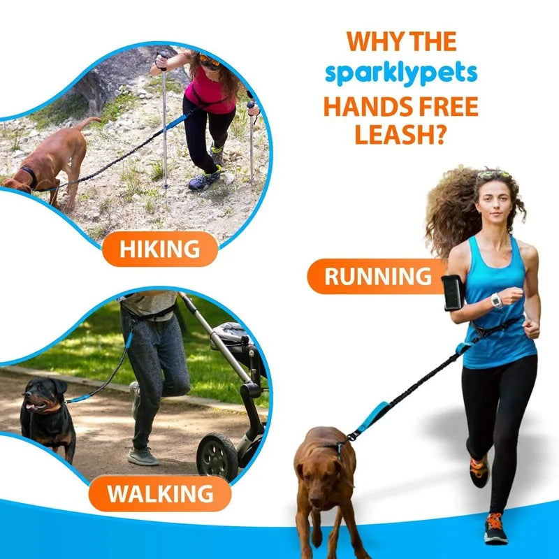 Hands-Free Bungee Running Lead