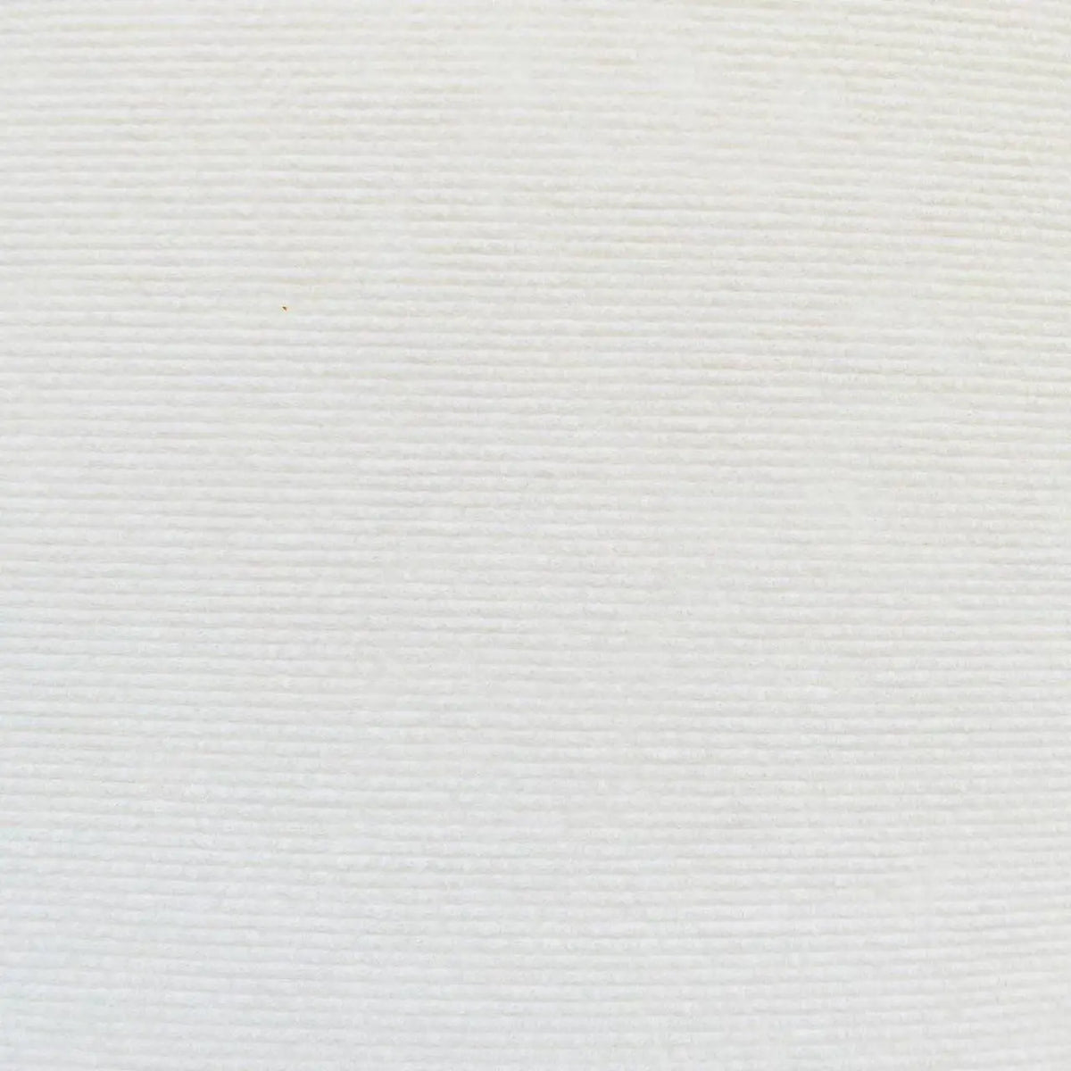 Self-Adhesive Cat Scratching Carpet Roll - White / 30x200 cm