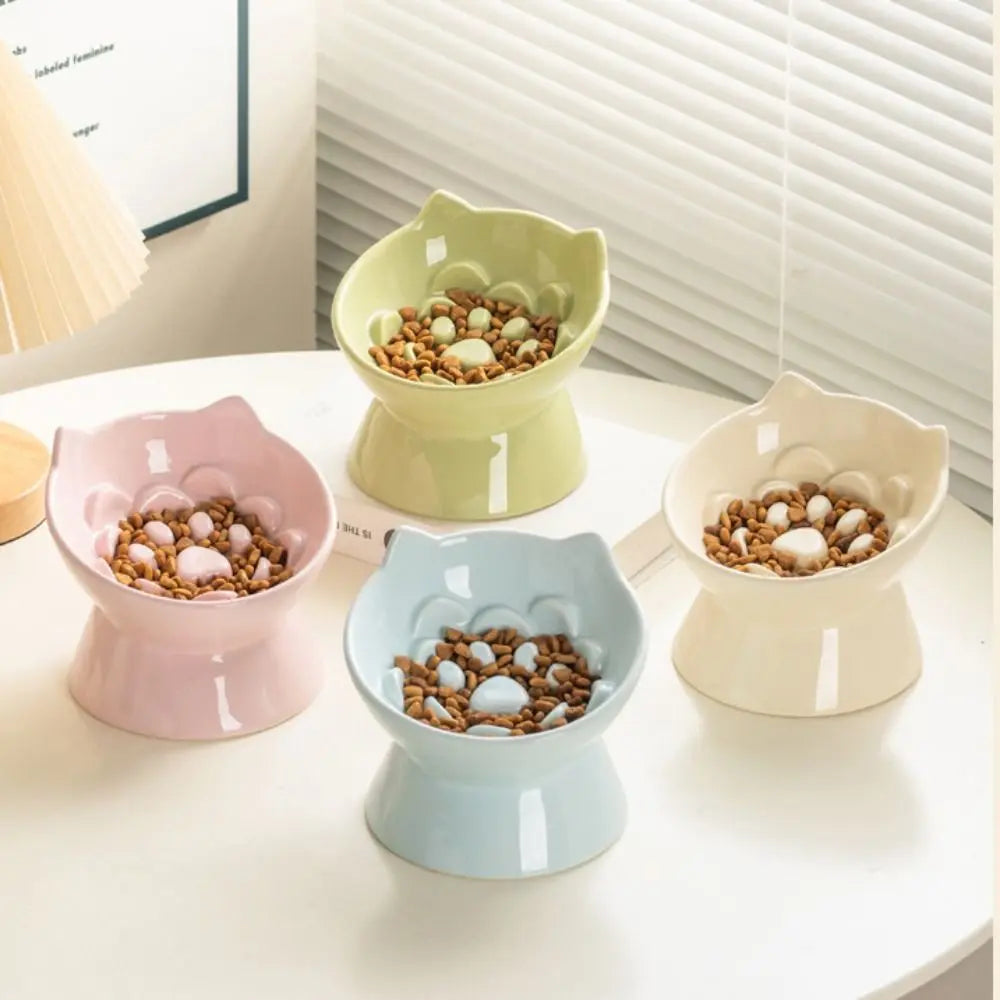 Raised Ceramic Slow Feeder Bowl