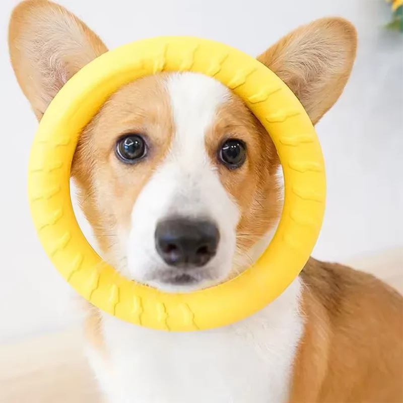 Foam Ring, Disc and Ball Fetch Toys