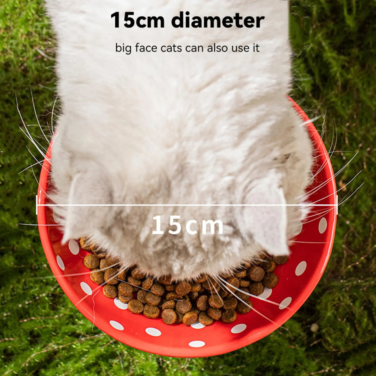 Mushroom Ceramic Cat Bowl