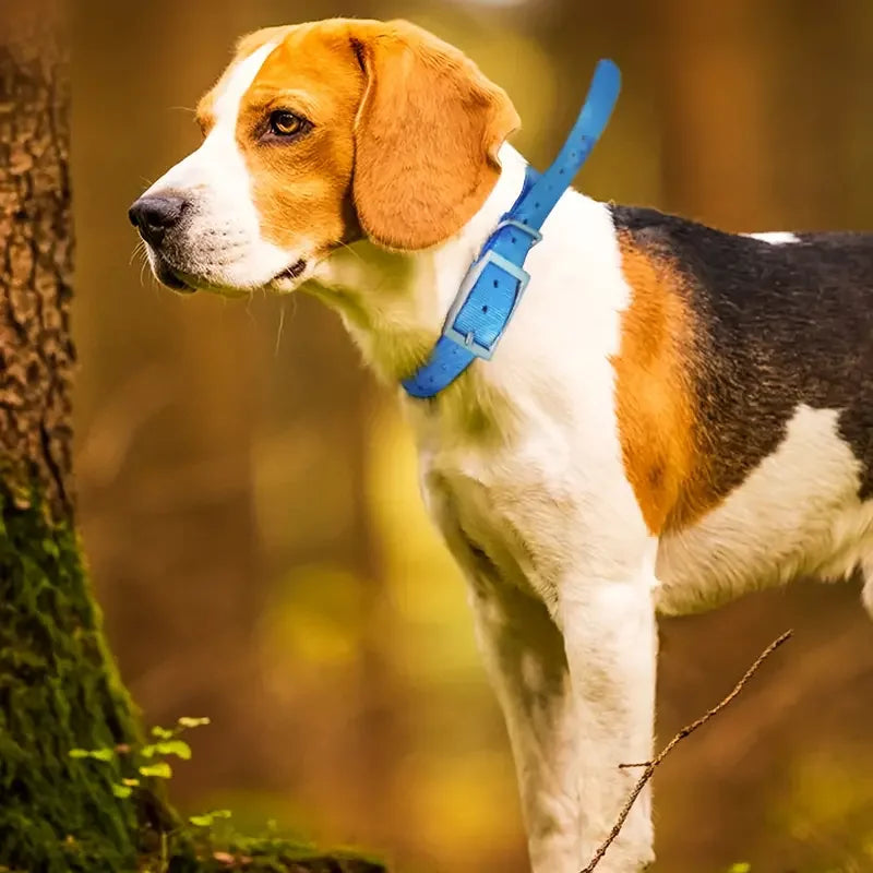 Waterproof TPU Dog Collar