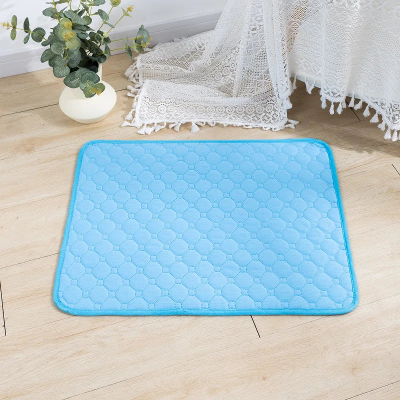 Reusable Washable Pee Pad for Dogs - Sky Blue / 50x35 cm
