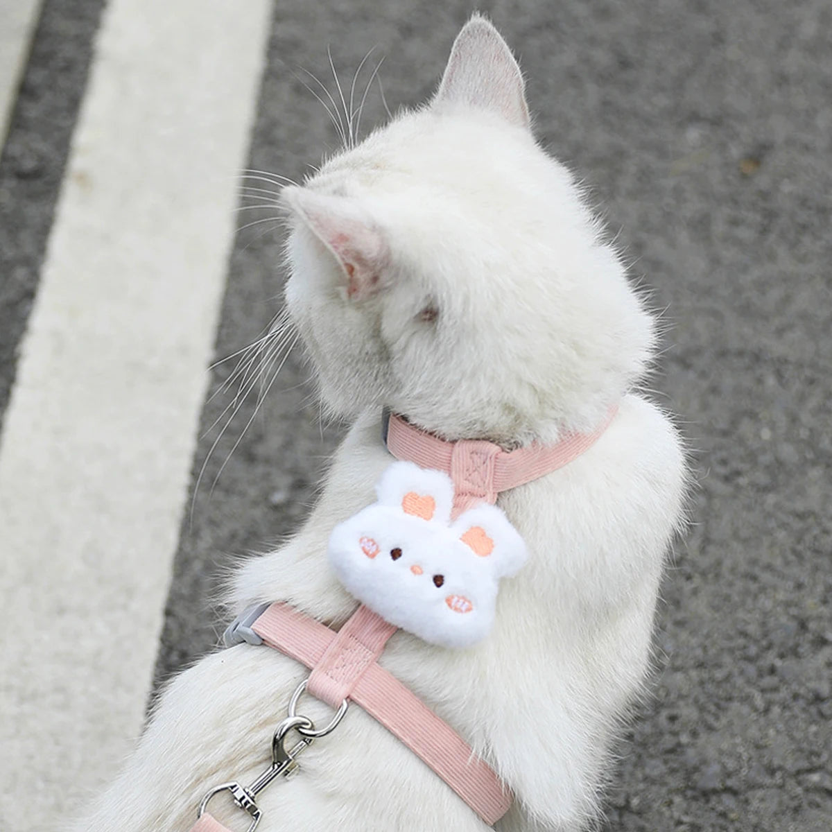 Cute Harness and Lead Set for Cats and Small Dogs - Bunny / S