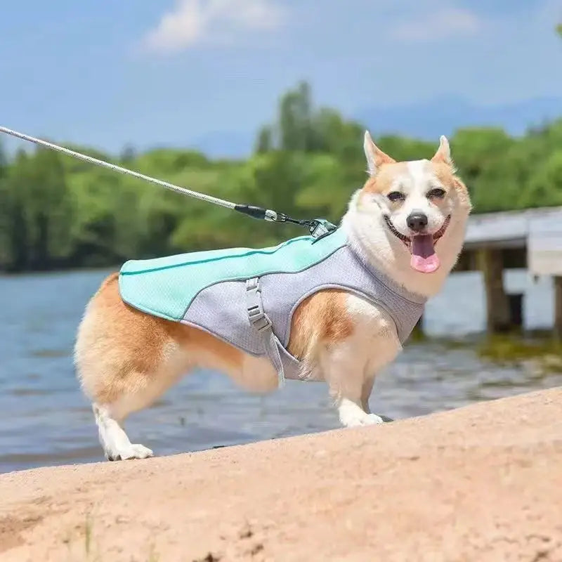 Cooling Vest Harness for Dogs