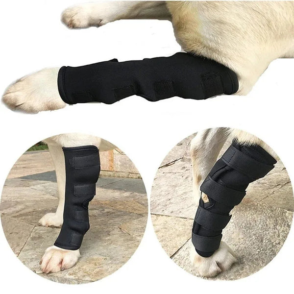 Leg Brace Wraps for Dogs