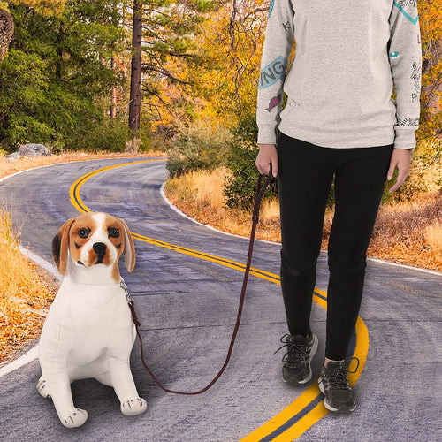 Braided Leather Dog Lead