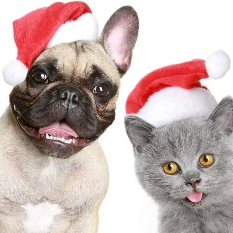 Santa Hat for Dogs and Cats