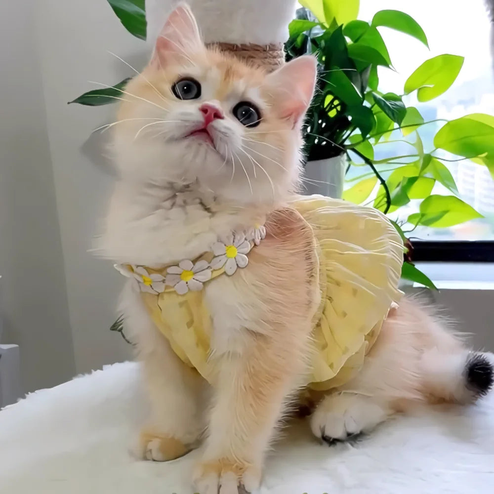 Floral Summer Dress for Cats and Small Dogs