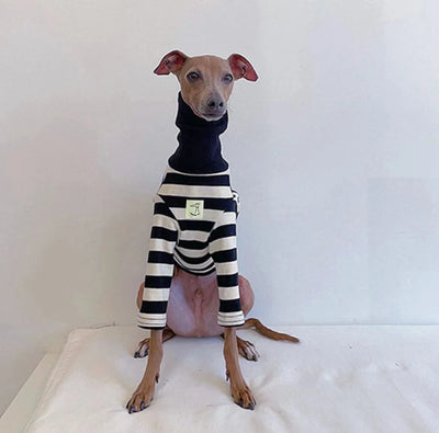 Striped Roll-Neck Top for Greyhounds