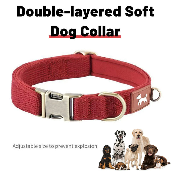 Padded Nylon Dog Collar