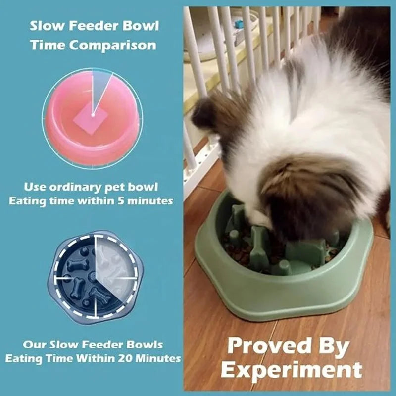 Slow Feeder Dog Bowl