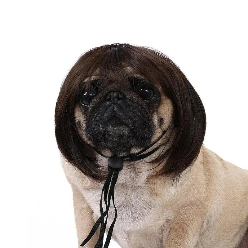 Bob Wig for Pets
