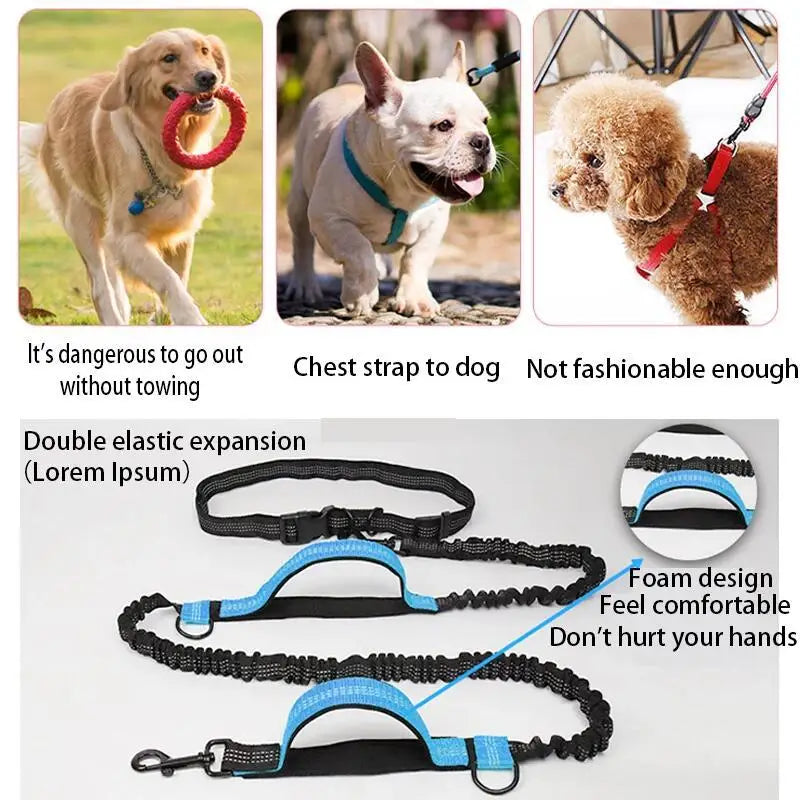 Hands-Free Bungee Running Lead