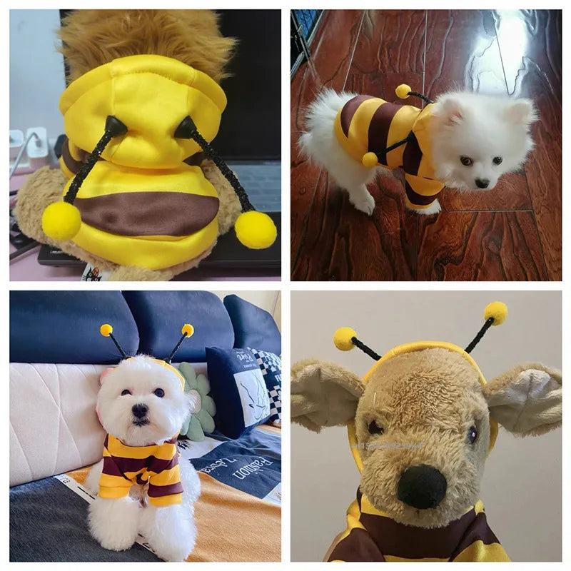 Bumblebee Costume Hoodie for Dogs and Cats