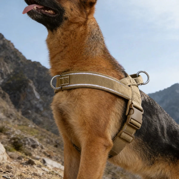 Padded No-Pull Dog Harness with Handle, Large Dogs