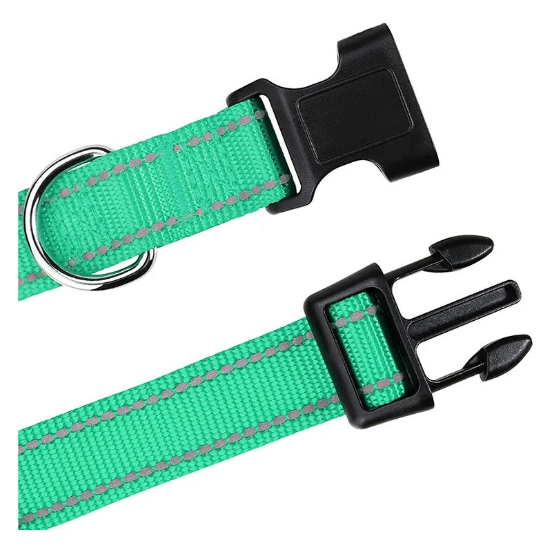 Nylon Dog Collar with Quick-Release Buckle