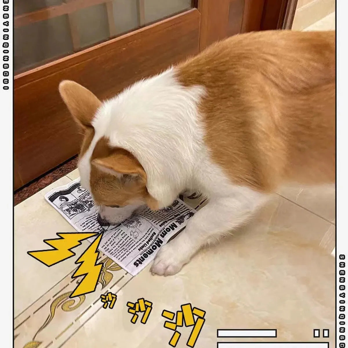 Crinkle Newspaper Dog Toy
