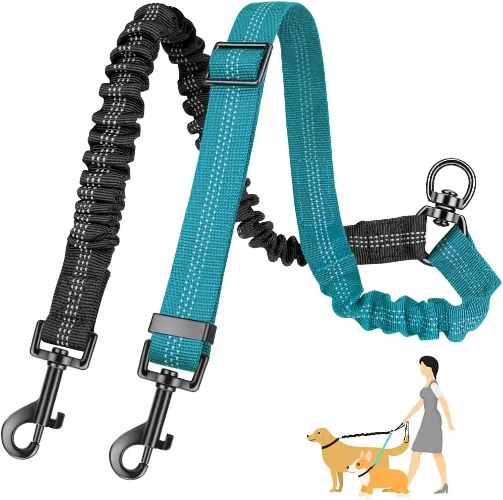 Double Dog Lead Coupler - Blue
