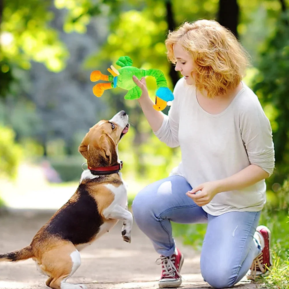 Squeaky Plush Parrot Dog Toy