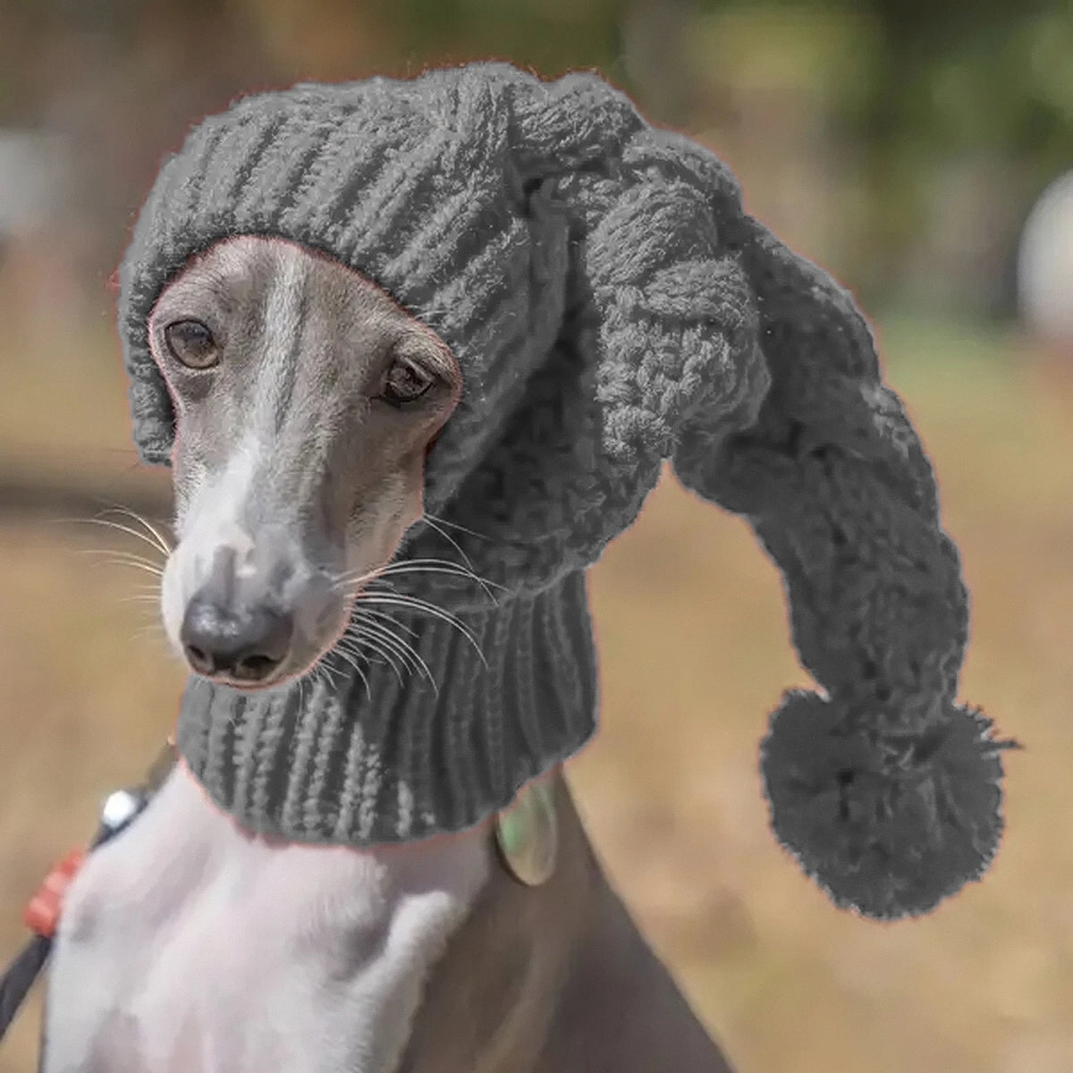 Hand-Knit Snood Hat for Greyhounds and Whippets - S