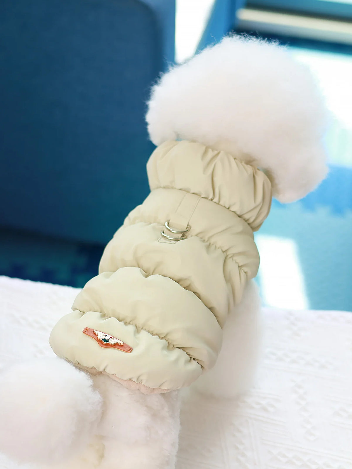 Quilted 3-Layer Winter Dog Jacket - Light Grey / XS