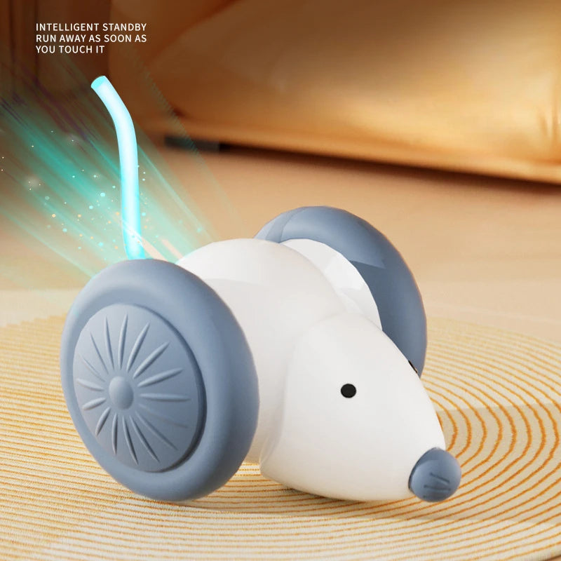 Electric Mouse Car Cat Toy, Rechargeable