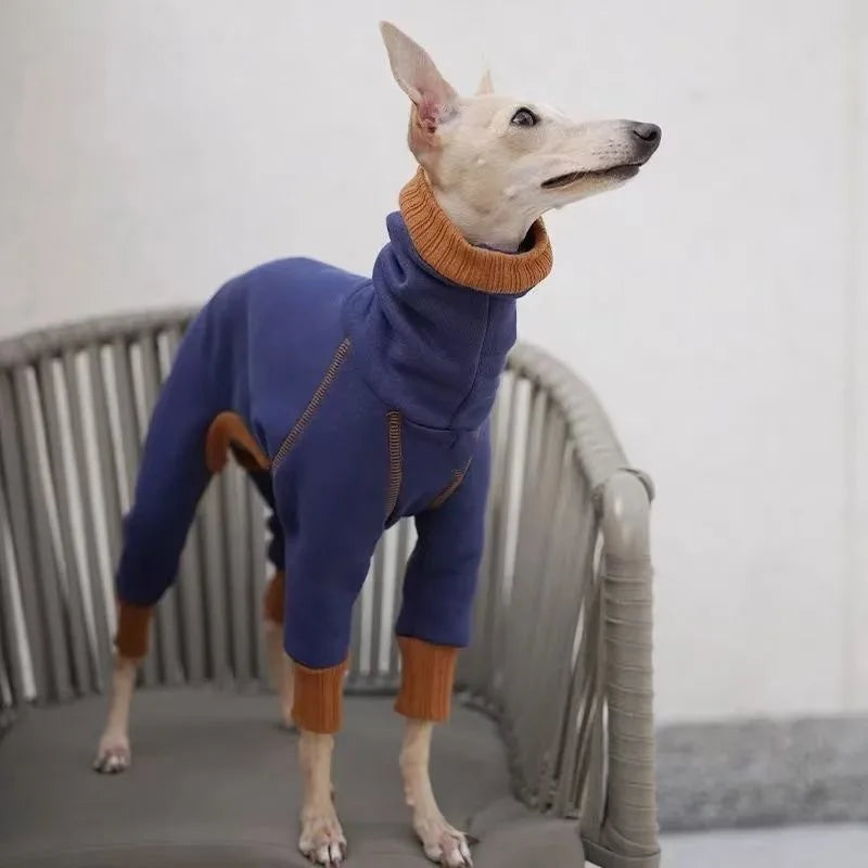 High-Neck Four-Leg Jumper for Greyhounds and Whippets