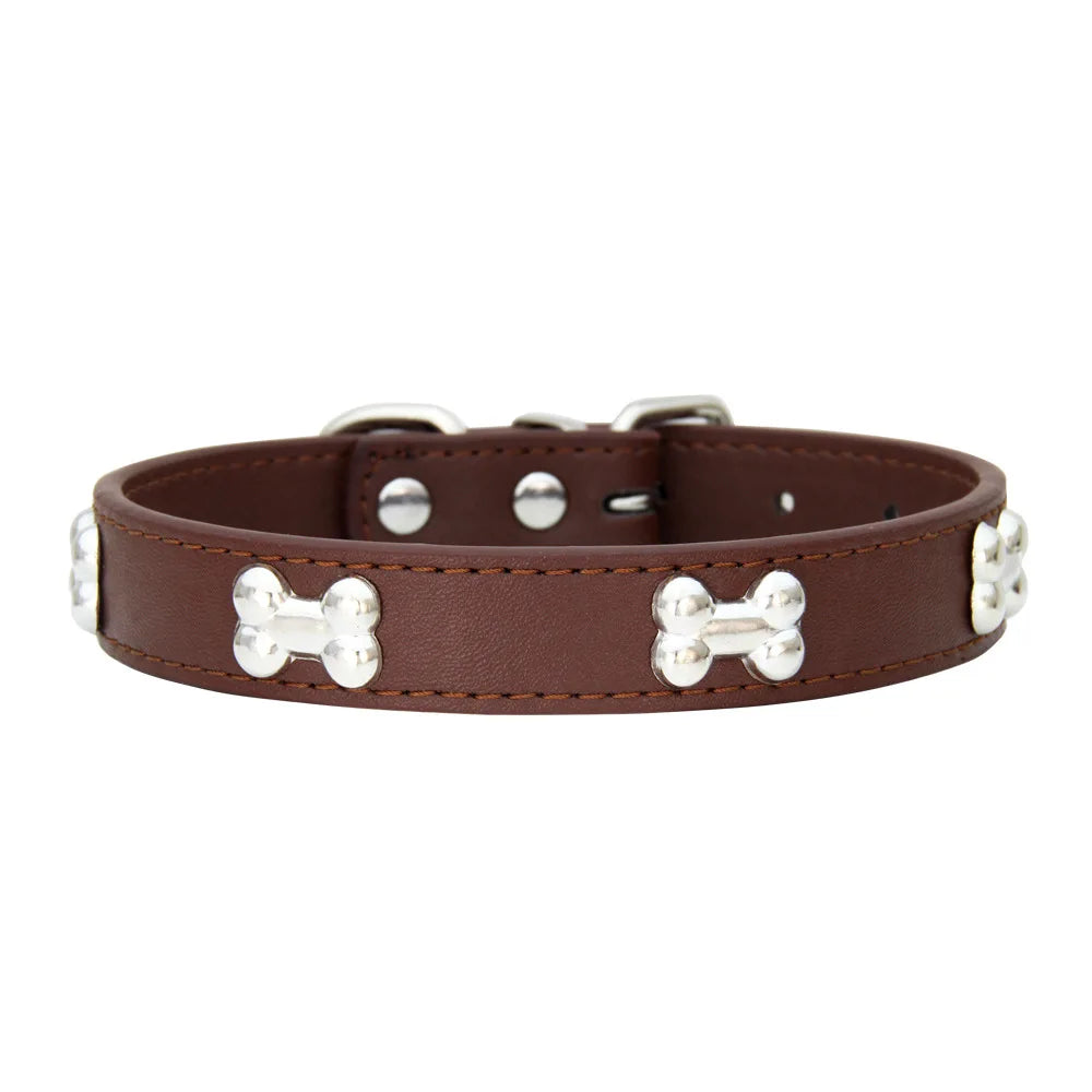 Leather Dog Collar with Bone Studs - Coffee / XS
