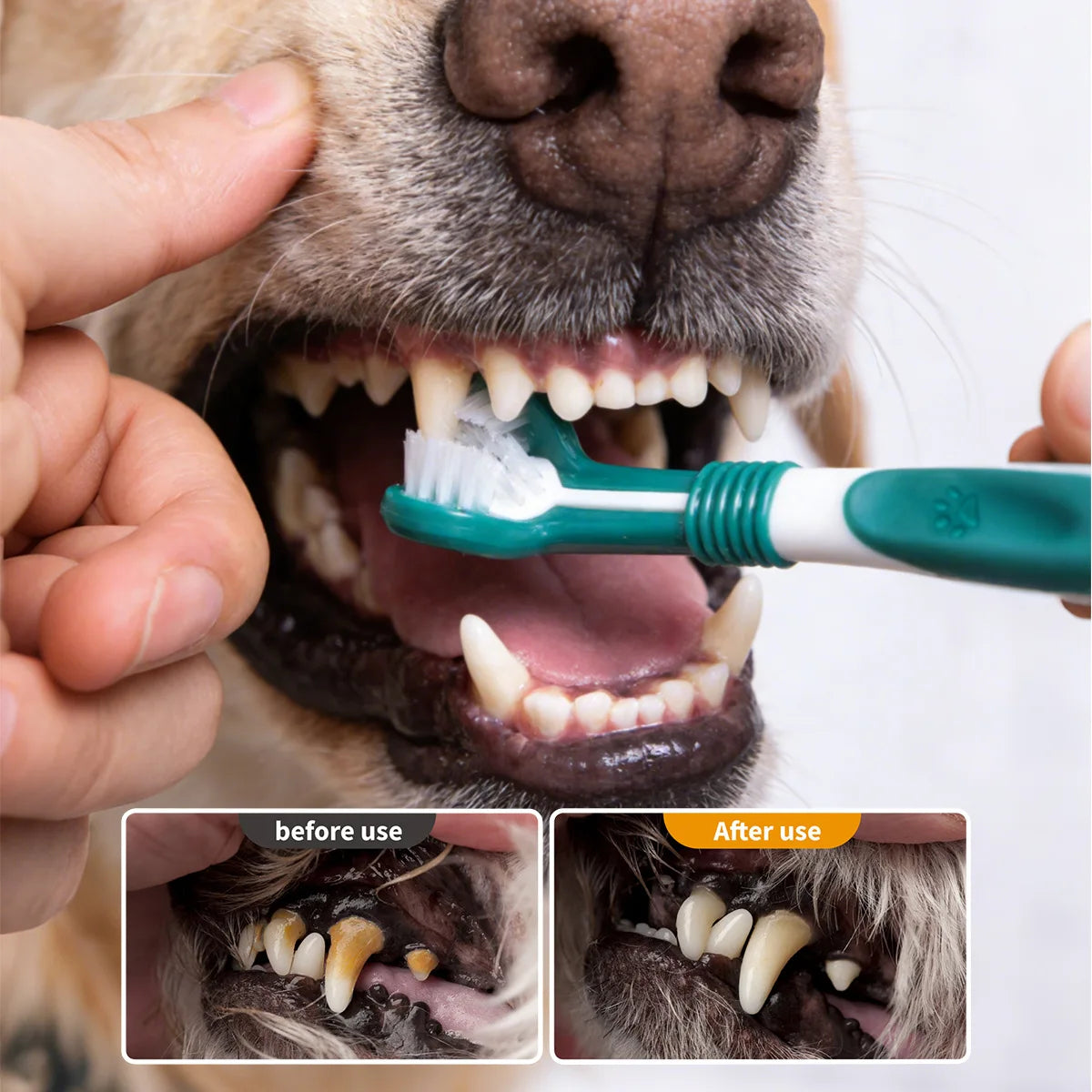 Three-Sided Dog Toothbrush
