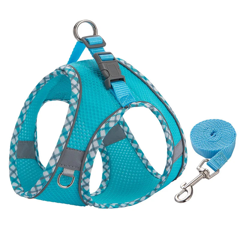 Reflective Mesh Harness and Lead Set - Blue / M