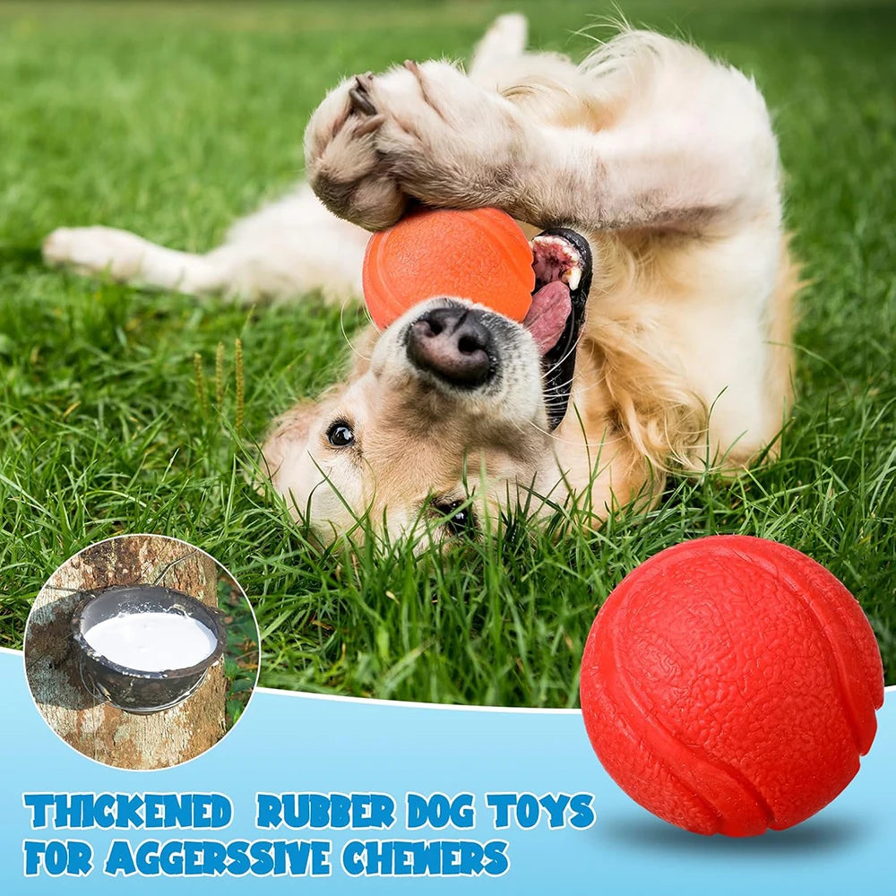 Solid Rubber Fetch Ball