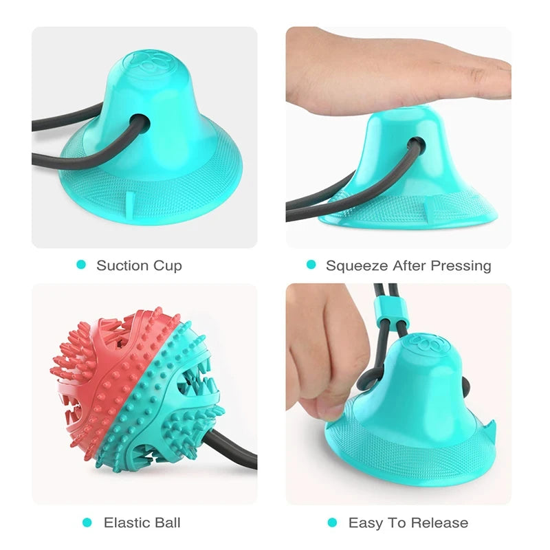 Suction Cup Tug Toy with Treat Ball