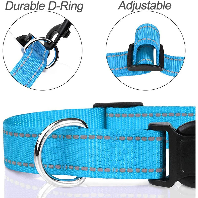 Nylon Dog Collar with Quick-Release Buckle