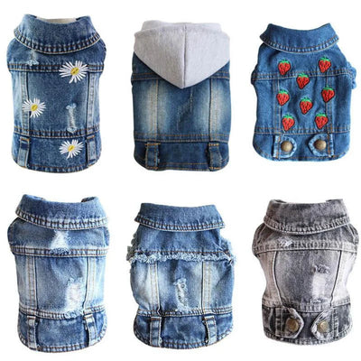 Denim Jacket for Small Dogs