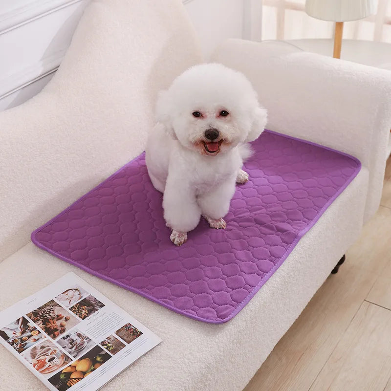 Reusable Washable Pee Pad for Dogs - Purple / 50x35 cm