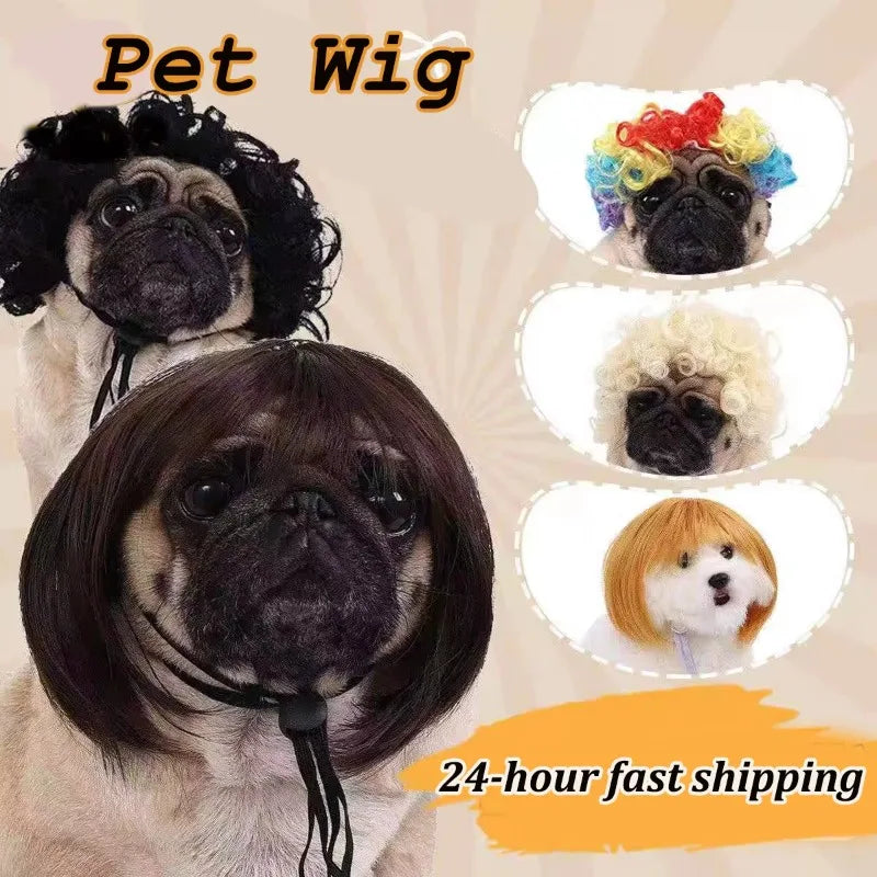 Bob Wig for Pets