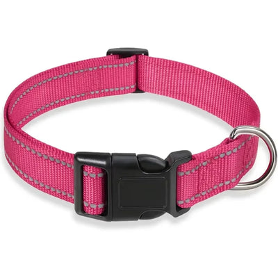 Padded Neoprene Dog Collar