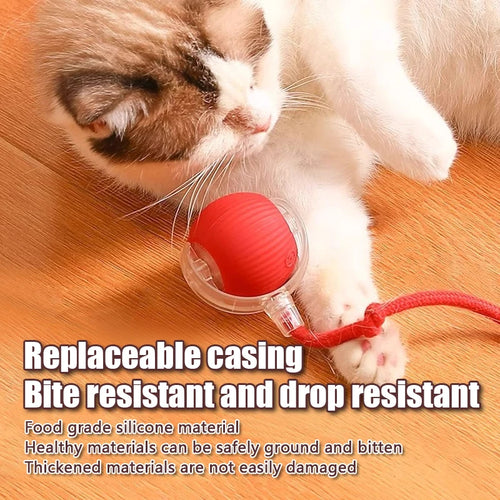 Automatic Rolling Ball with Fake Tail, Rechargeable Cat Toy