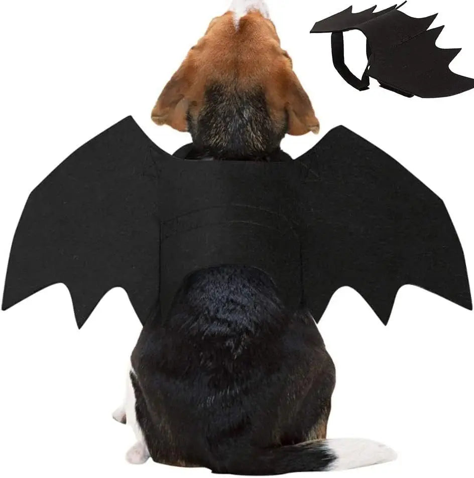Bat Wings Halloween Costume for Cats and Small Dogs