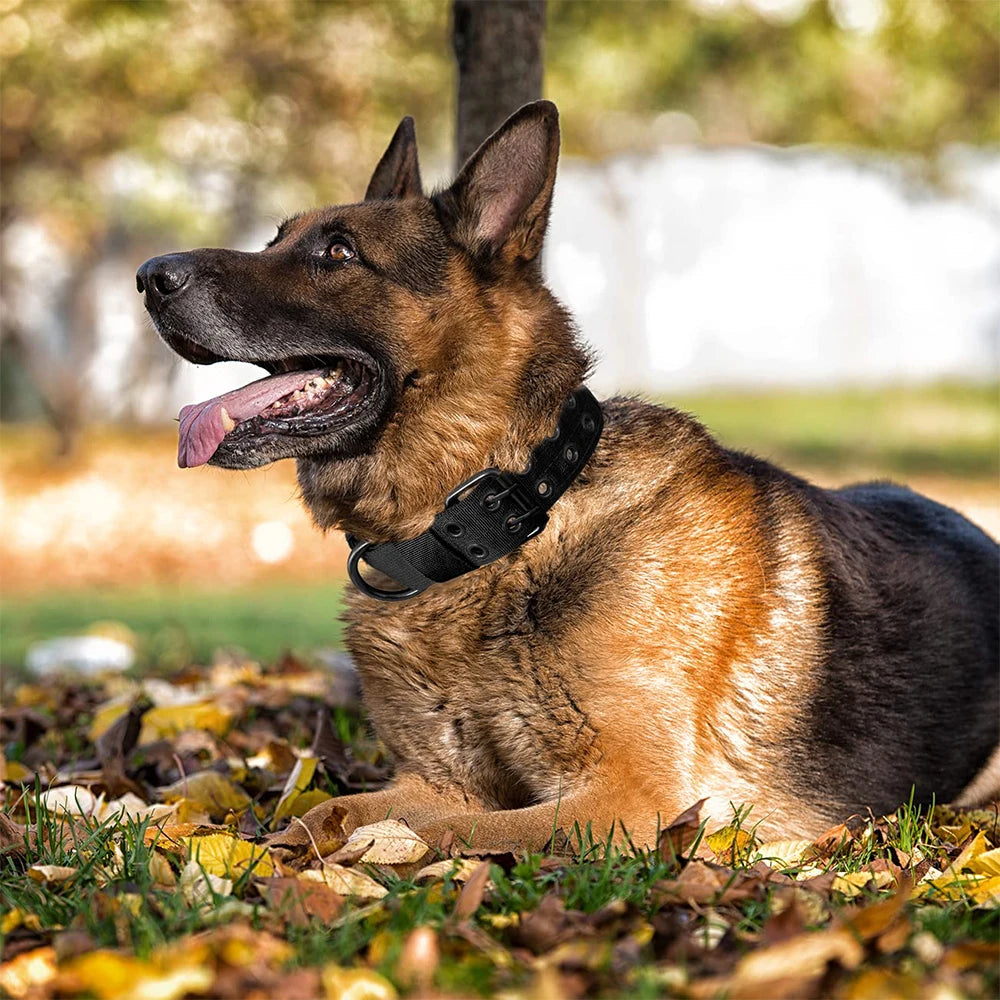 Tactical Military-Style Dog Collar