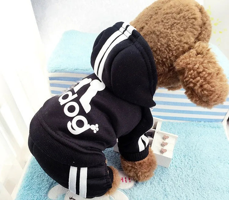Hooded Tracksuit Jumpsuit for Small Dogs - Black / XS (0.5 to 1.2 kg)