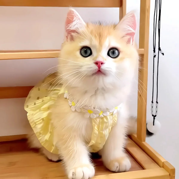 Floral Summer Dress for Cats and Small Dogs
