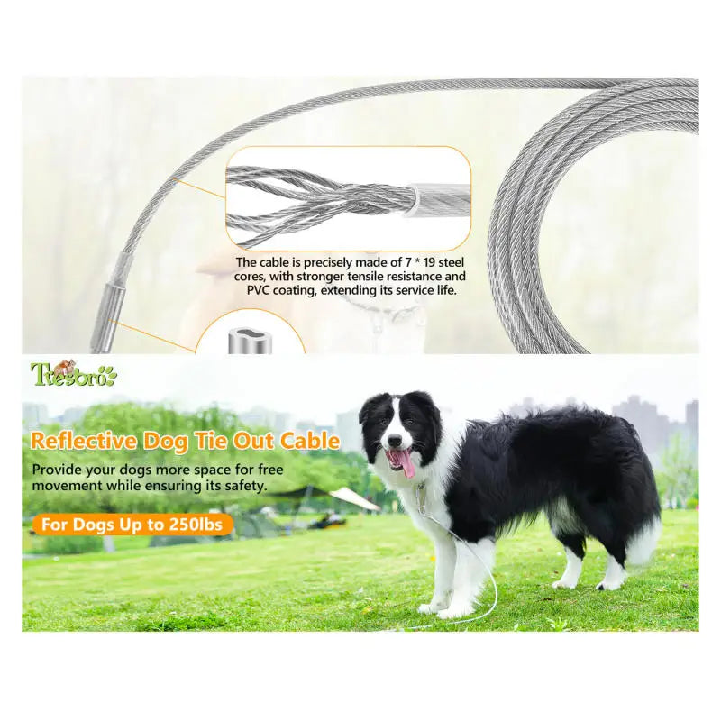 Heavy-Duty Steel Dog Tie-Out Cable
