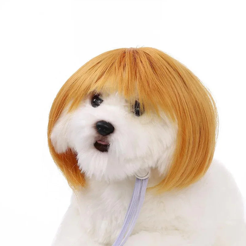 Bob Wig for Pets - Ginger