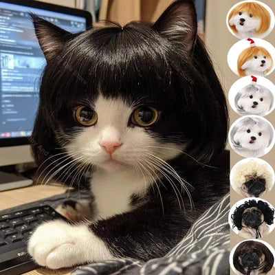 Bob Wig for Pets
